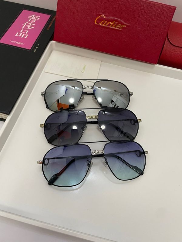 Cartier Blue Unisex Pure Titanium Eyeglasses