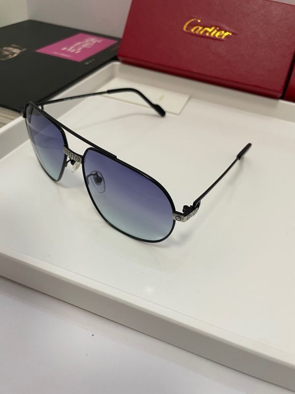 Cartier Blue Unisex Pure Titanium Eyeglasses
